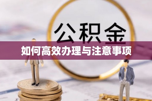保靖如何高效办理与注意事项