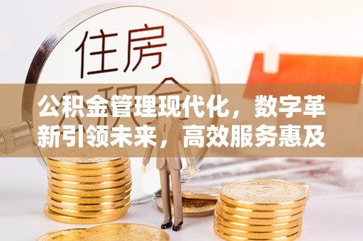 保靖公积金管理现代化，数字革新引领未来，高效服务惠及民生