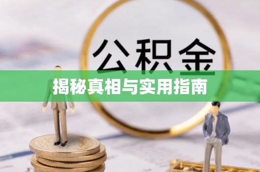 保靖揭秘真相与实用指南