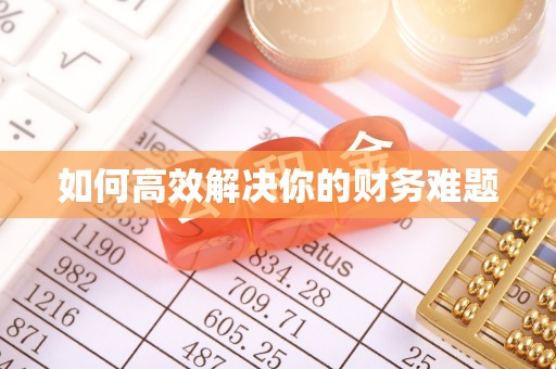 保靖如何高效解决你的财务难题