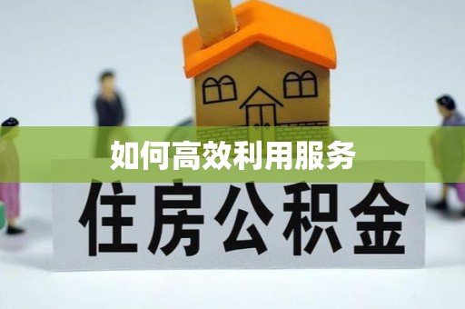 保靖如何高效利用服务