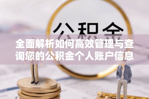 保靖全面解析如何高效管理与查询您的公积金个人账户信息